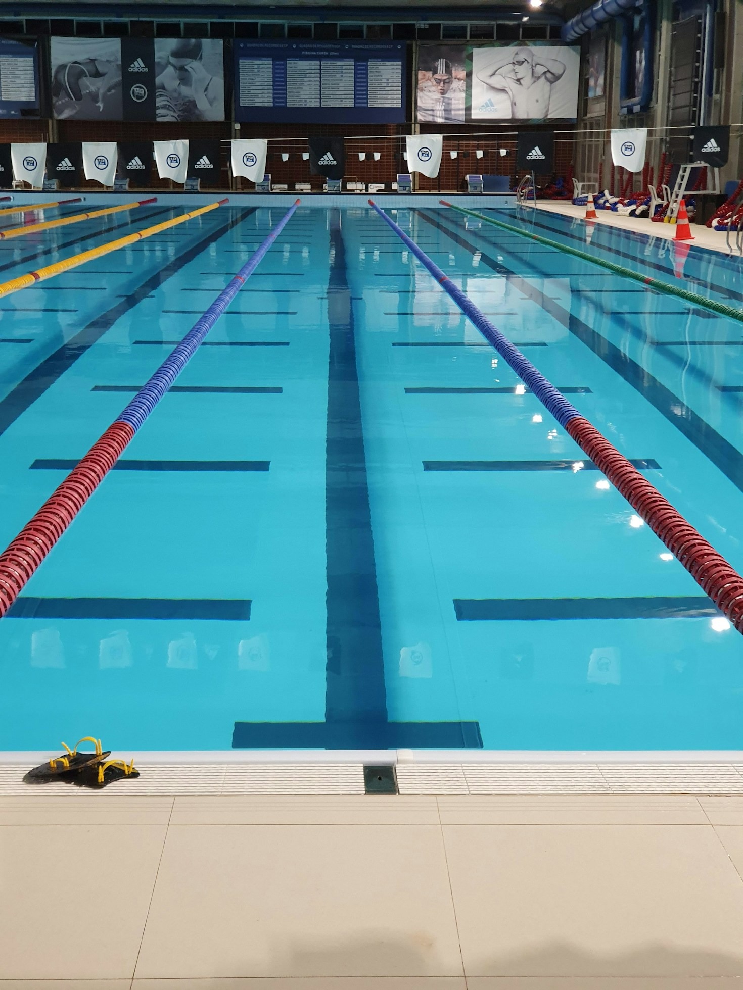 Achievements Worth Celebrating at Tiverton Club